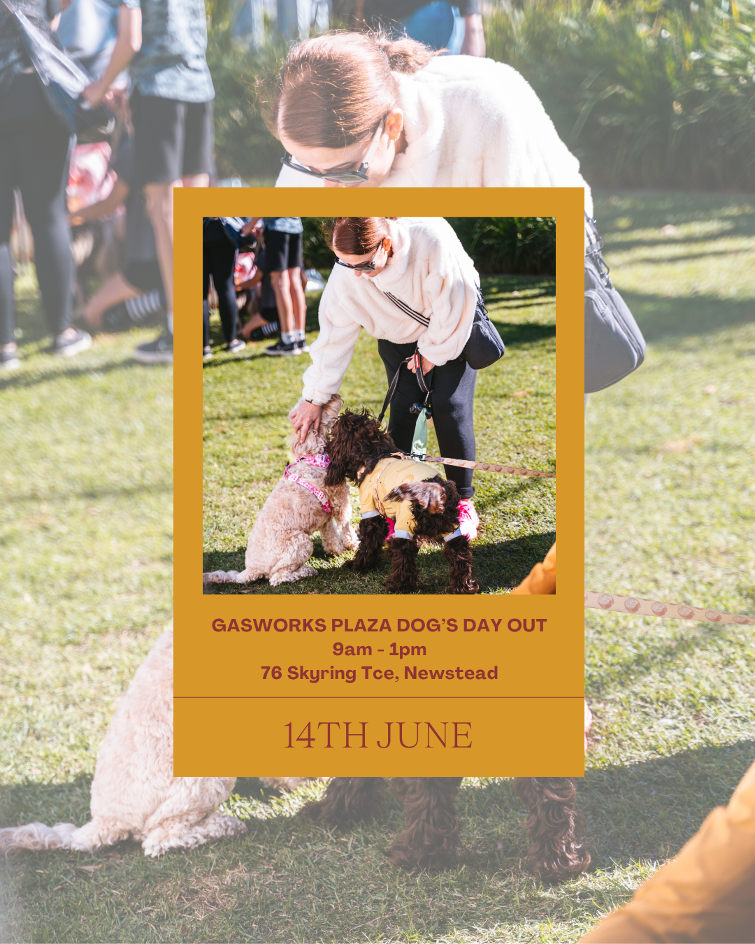 Market Preview: 14th June Dog's Day Out